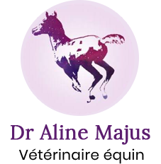 logo-dr-majus-monvetoequin-calvados